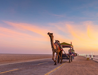 The Great Rann of Kutch